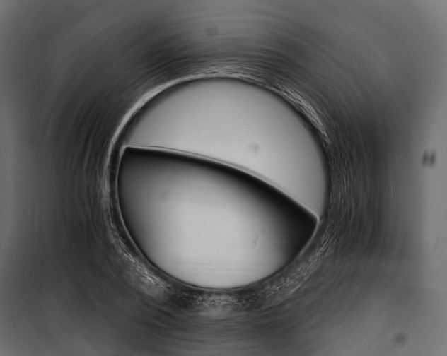 X0000100930784200806241137