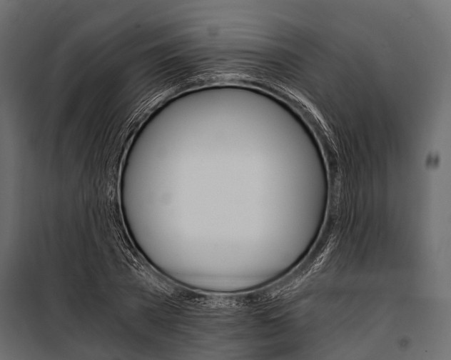 X0000100930785200806241137