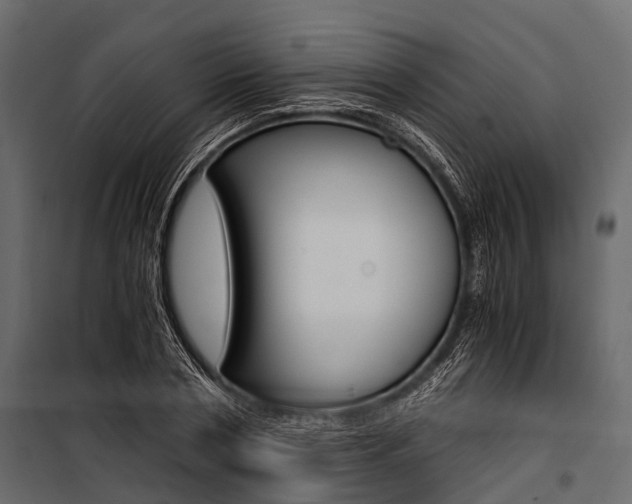 X0000100930786200806241137