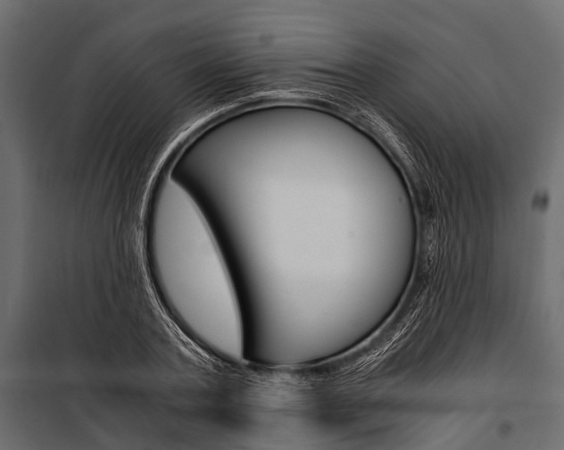 X0000100930787200806241137