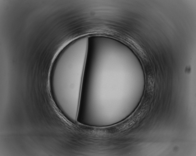 X0000100930788200806241137