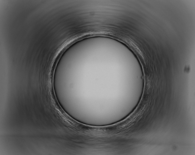 X0000100930789200806241136