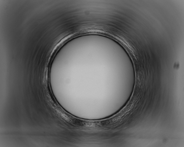 X0000100930790200806241136