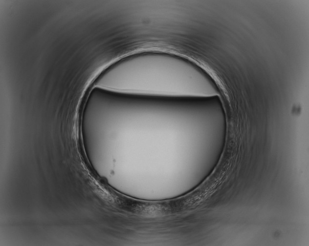 X0000100930791200806241136