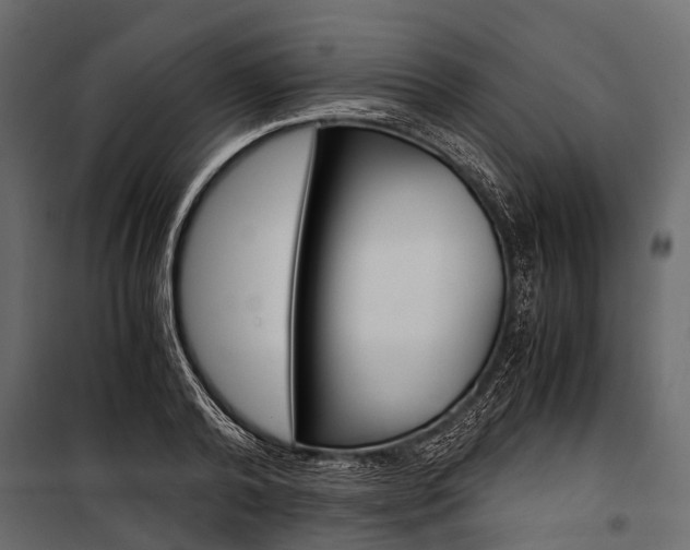 X0000100930792200806241136