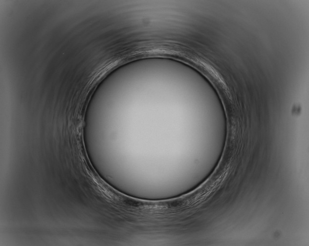 X0000100930793200806241136