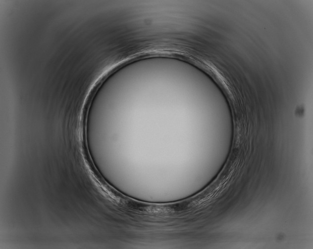 X0000100930795200806241136