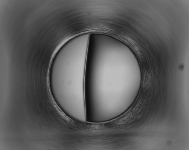 X0000100930796200806241136