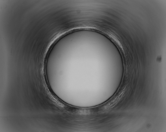 X0000100930797200806241136