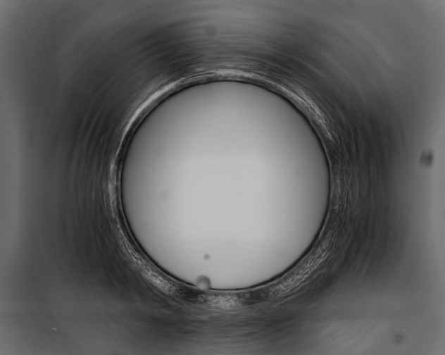 X0000100930798200806241136