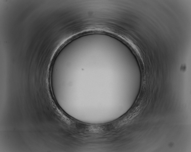 X0000100930799200806241136