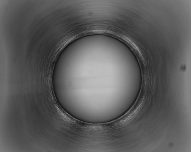 X0000100930801200806241136