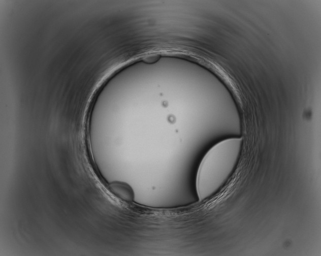 X0000100930803200806241136