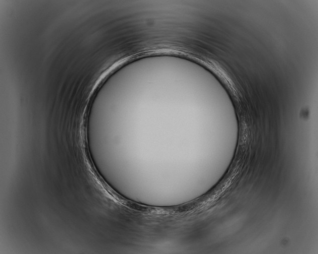 X0000100930806200806241136