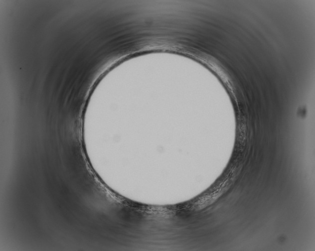 X0000100930807200806241136