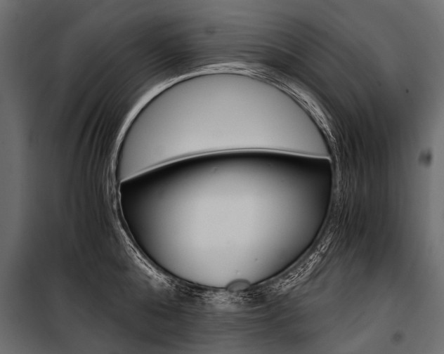 X0000100930808200806241136