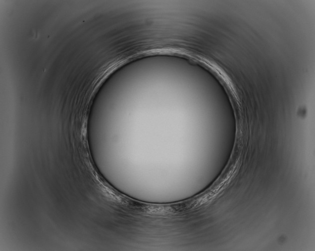 X0000100930809200806241136