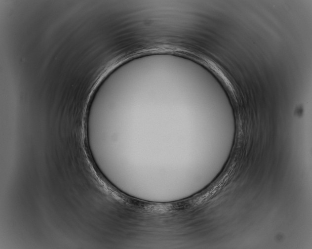 X0000100930810200806241136