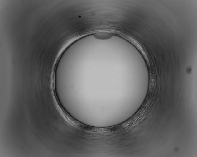 X0000100930811200806241136