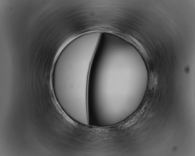 X0000100930812200806241136