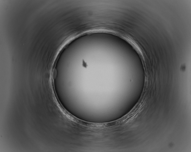 X0000100930813200806241136