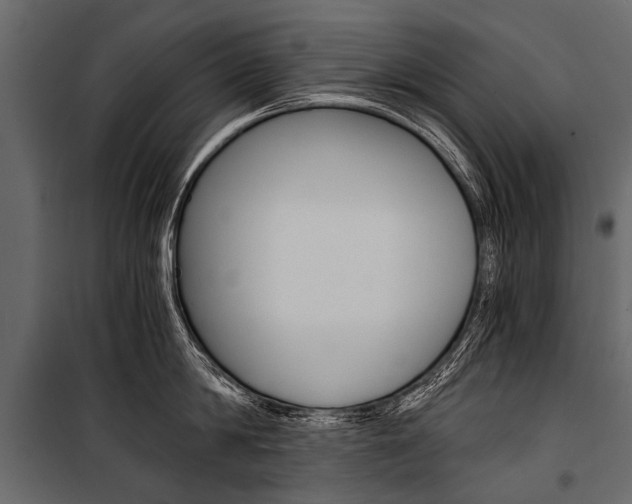 X0000100930814200806241136