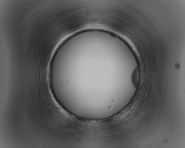 X0000100930815200806241136