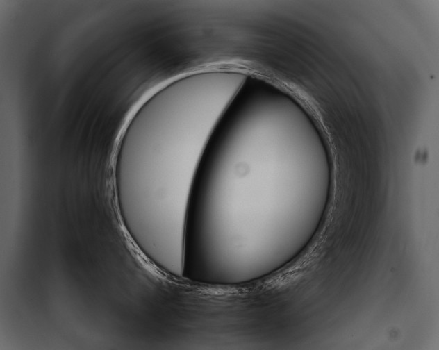 X0000100930816200806241136