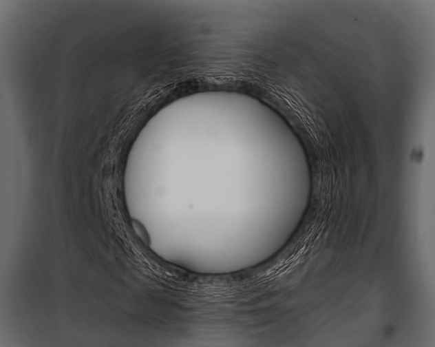 X0000100930817200806241135