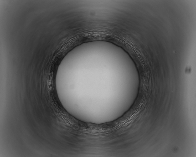 X0000100930818200806241135