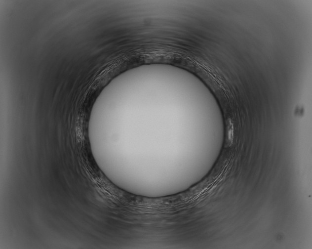 X0000100930819200806241135