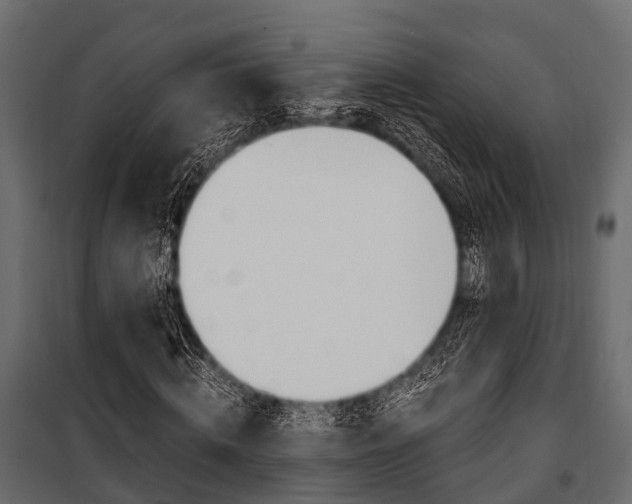 X0000100930820200806241135