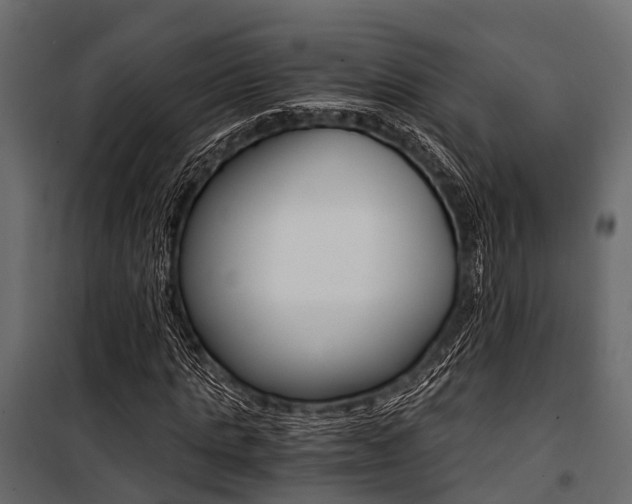 X0000100930821200806241135