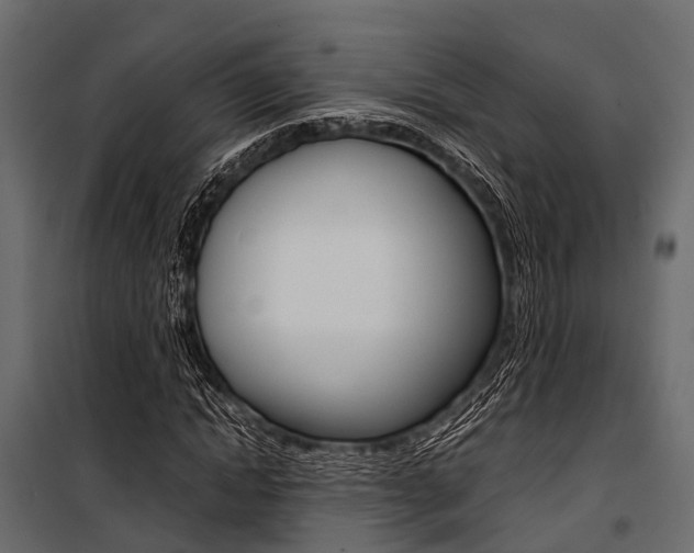 X0000100930822200806241135