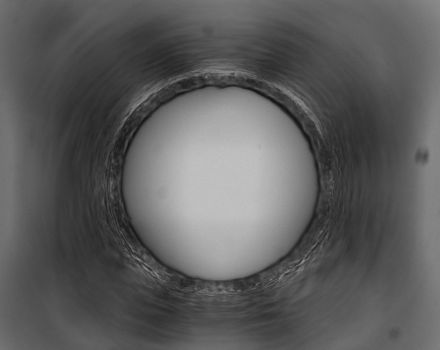 X0000100930823200806241135