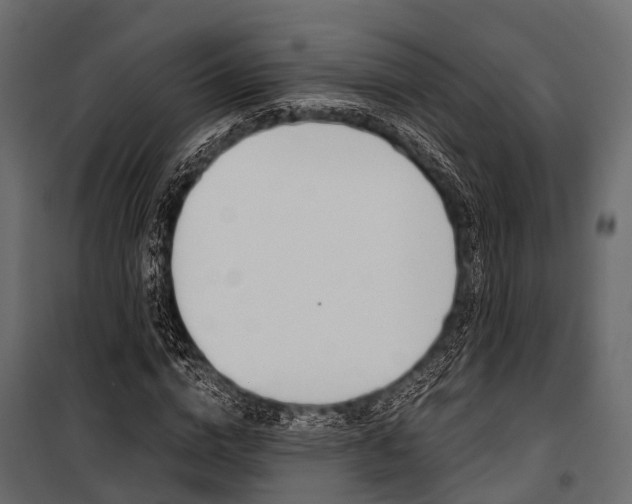 X0000100930824200806241135