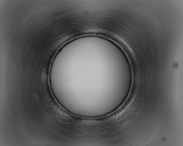 X0000100930825200806241135