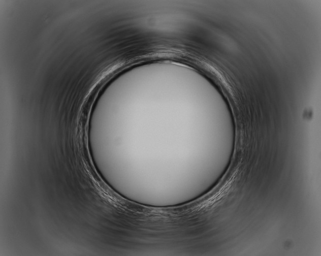 X0000100930827200806241135