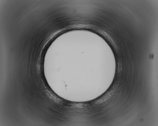 X0000100930828200806241135