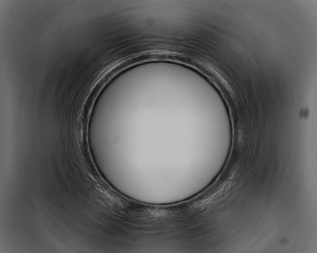 X0000100930829200806241135