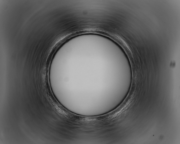 X0000100930831200806241136