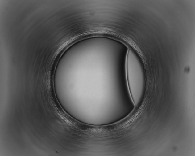 X0000100930834200806241136