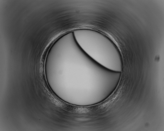 X0000100930835200806241136