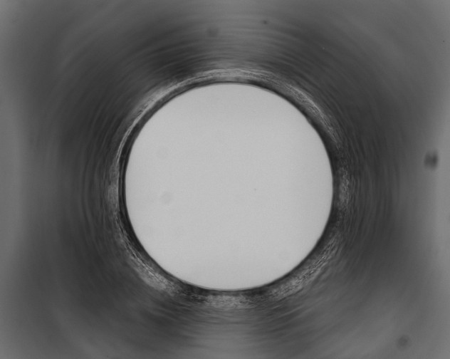 X0000100930836200806241136