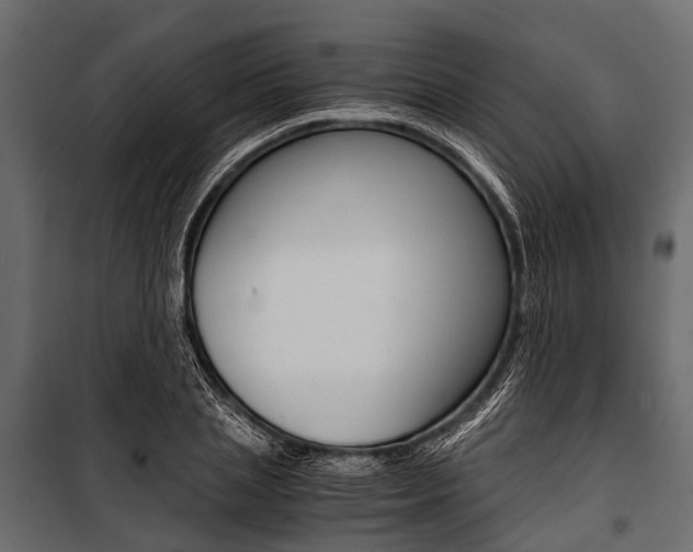 X0000100930837200806241136