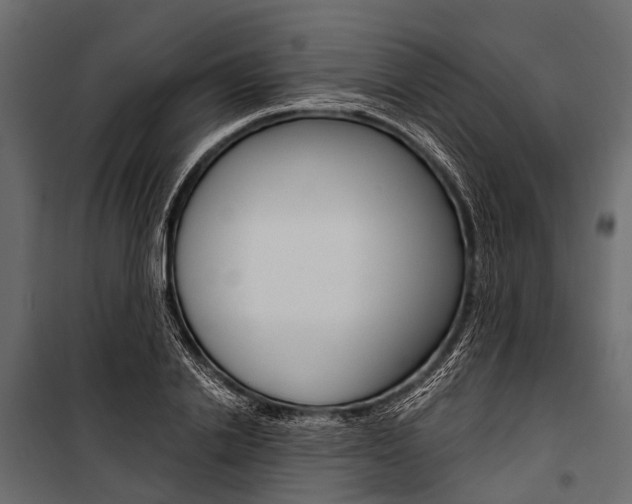 X0000100930838200806241136