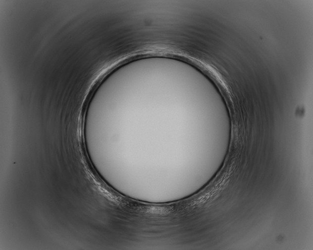 X0000100930839200806241136