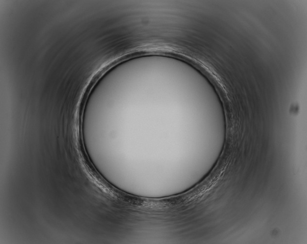 X0000100930840200806241136