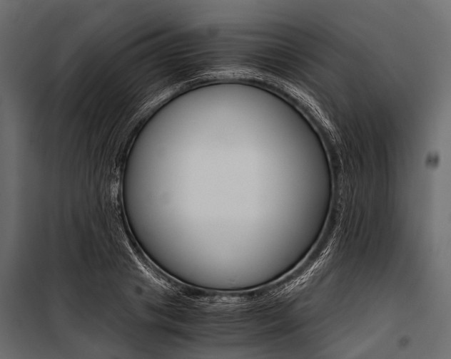 X0000100930841200806241136