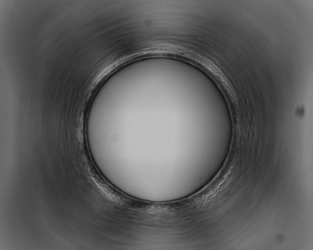 X0000100930842200806241136